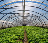 智能温室控制系统