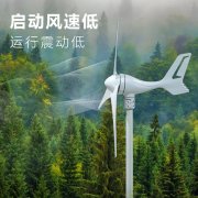 Mini风力发电机BWD-WD-300W